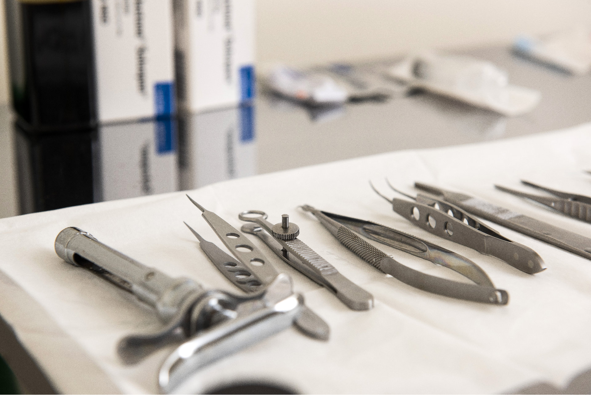 This image has an empty alt attribute; its file name is 810_8245-50.jpg